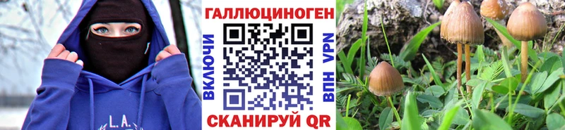 наркотики Полесск Псилоцибиновые грибы Magic Shrooms